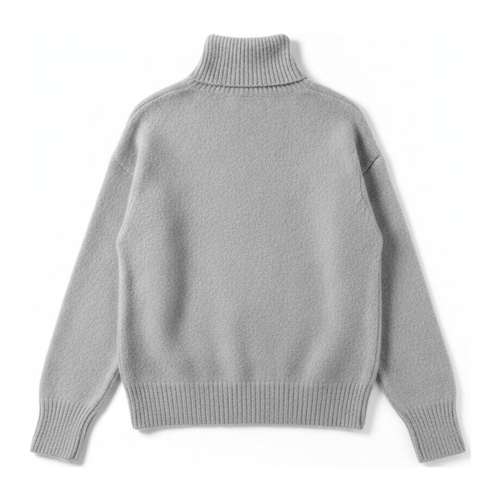 Ebi – Rollkragenpullover Damen in grau – Rückansicht