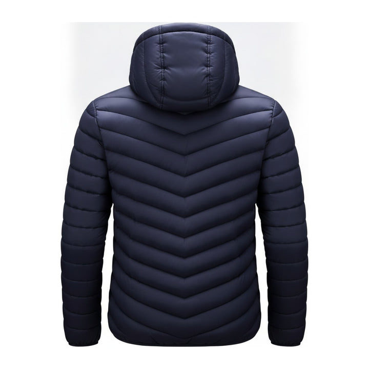 Lion – Steppjacken Herren in navy – Rückansicht
